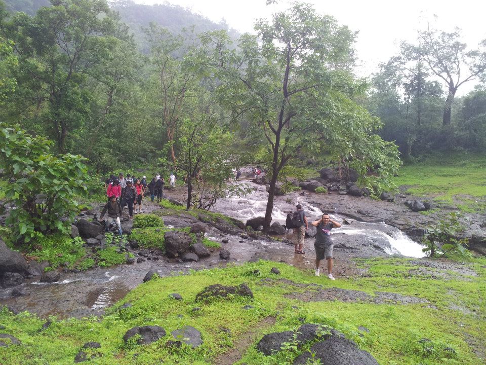 Bhimashankar-Waterfall