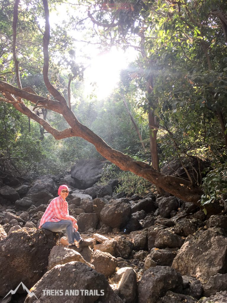 Karnala Bird Sanctuary Trails