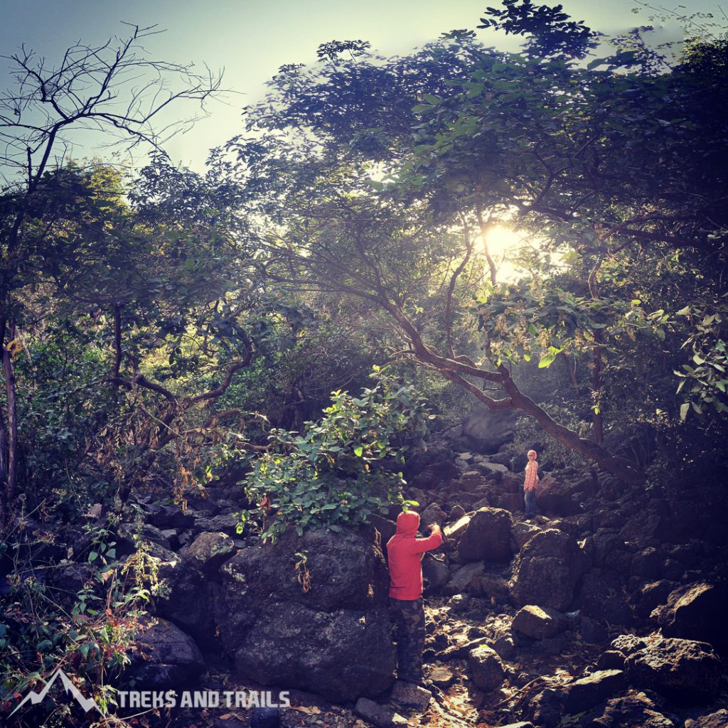 Karnala Bird Sanctuary Photography