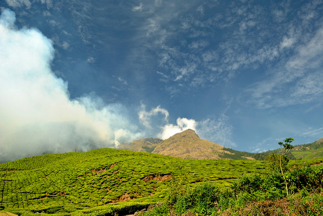 Kolukkumalai