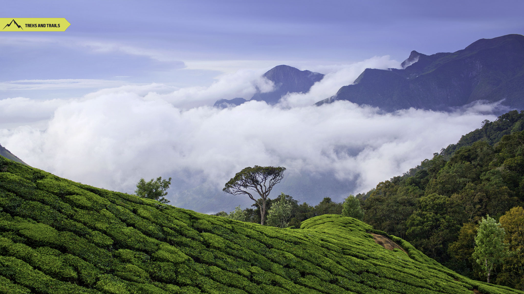 Munnar-Kerala