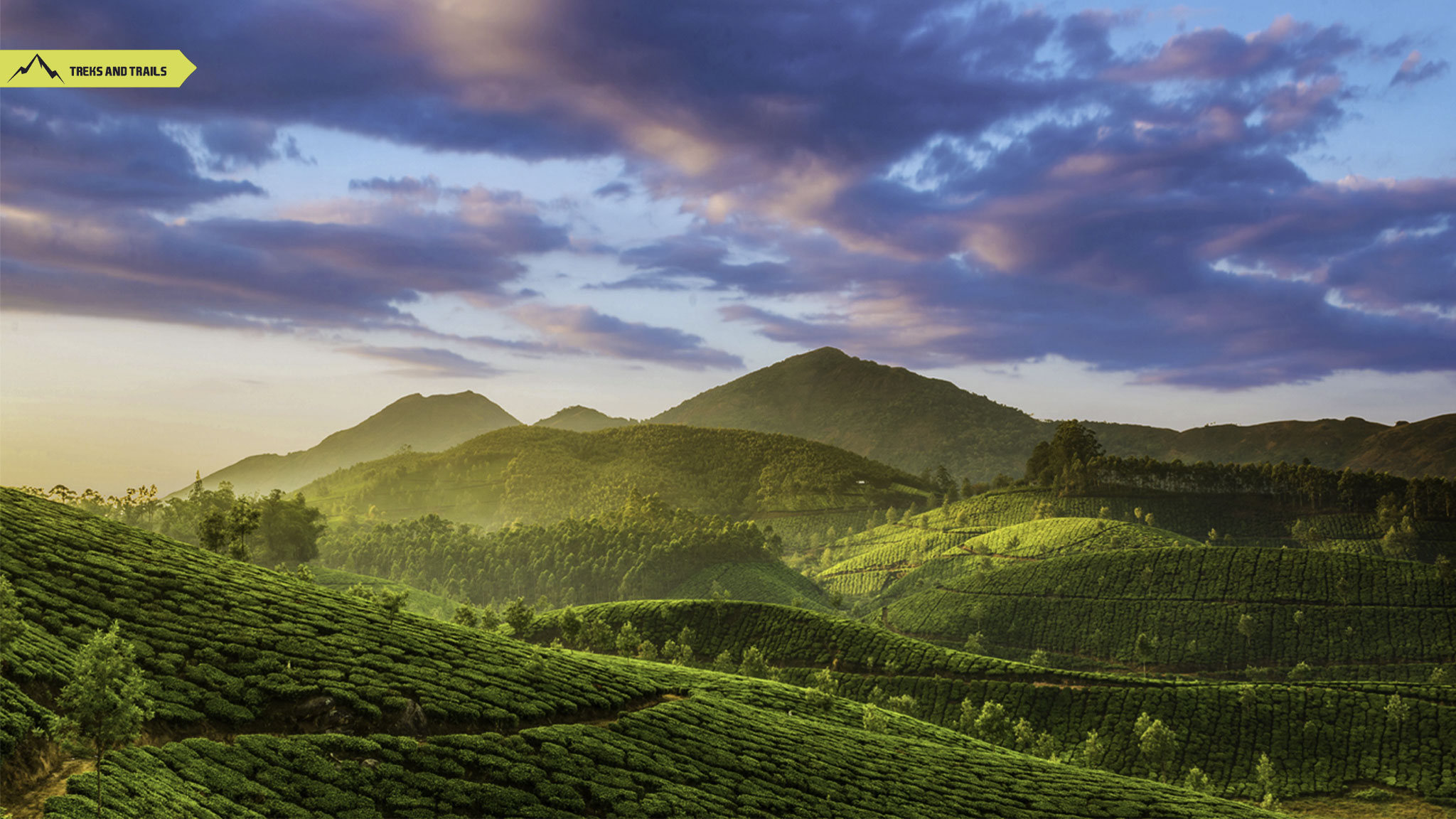 Munnar-Kerala