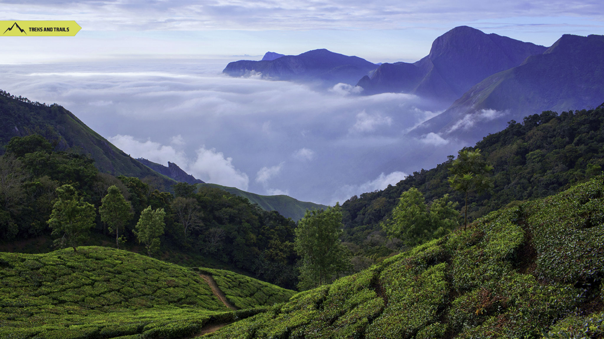 Munnar-Kerala