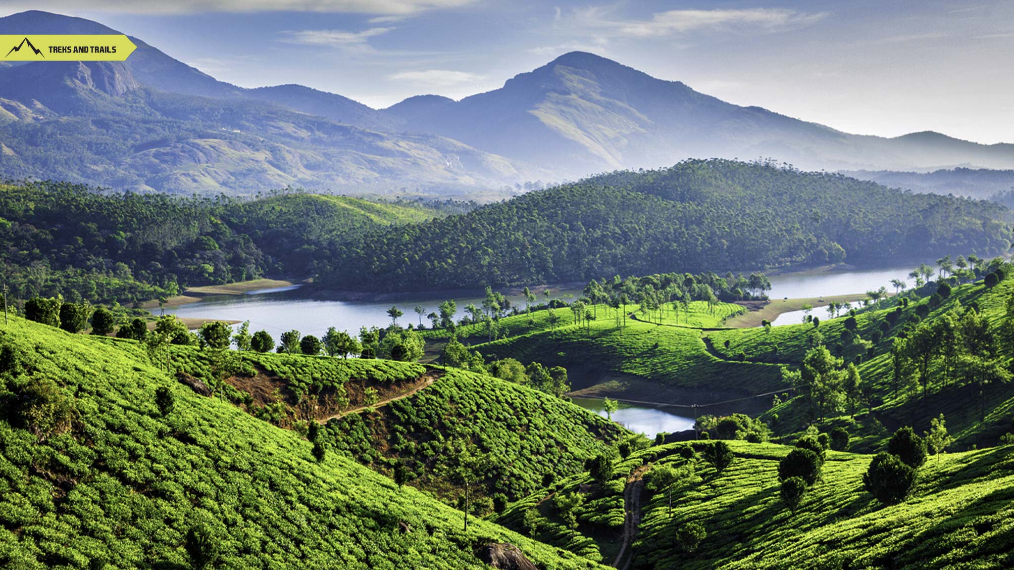 Munnar-Kerala