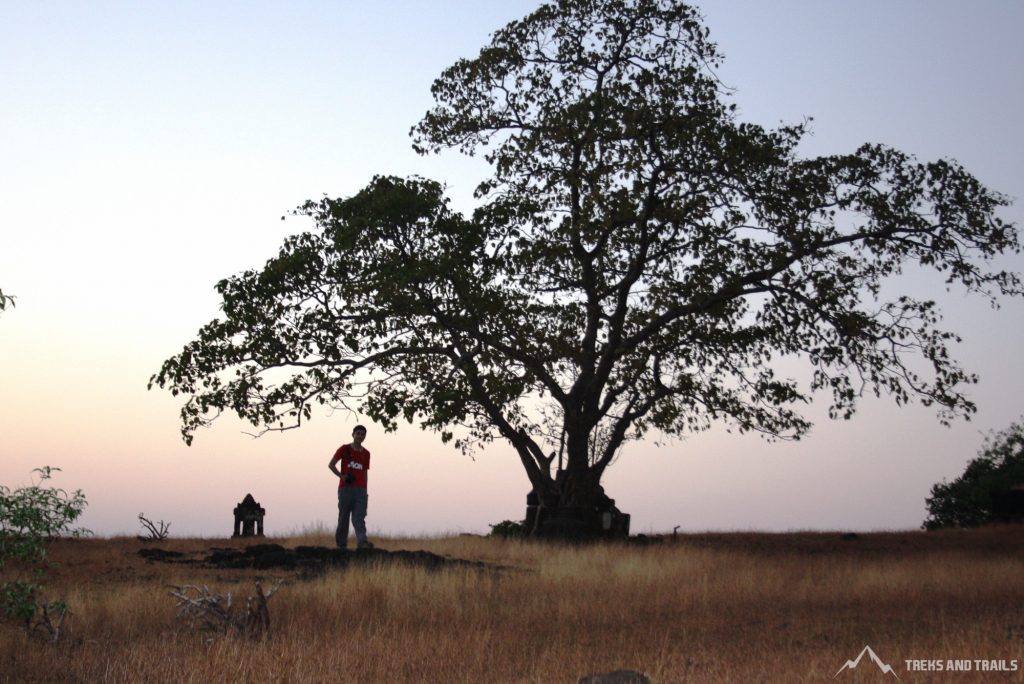 Sudhagad-Fort-Trek-Blog-2