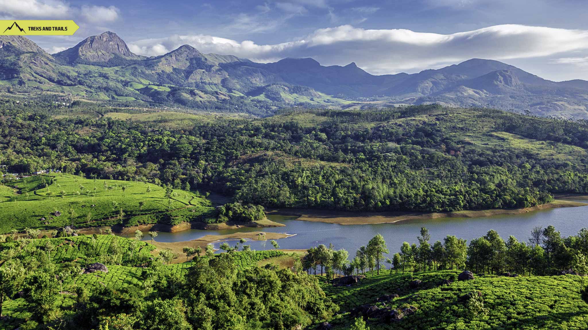 Tea Plantation Munnar