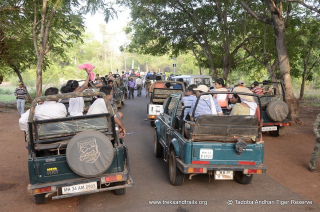 Tadoba National park