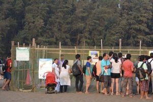 Velas Turtle Conservation Center