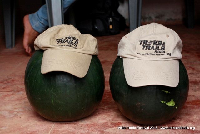 Watermelon Harvest