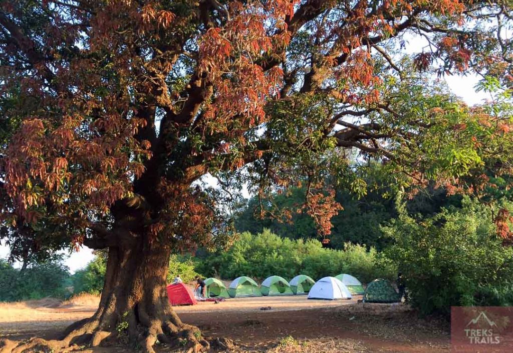 Rajmachi Camping