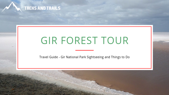 Gir National Park - Gir Wildlife Sanctuary & Forest