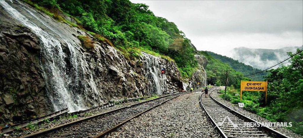 Dudhsagar-Waterfall-Trek-13