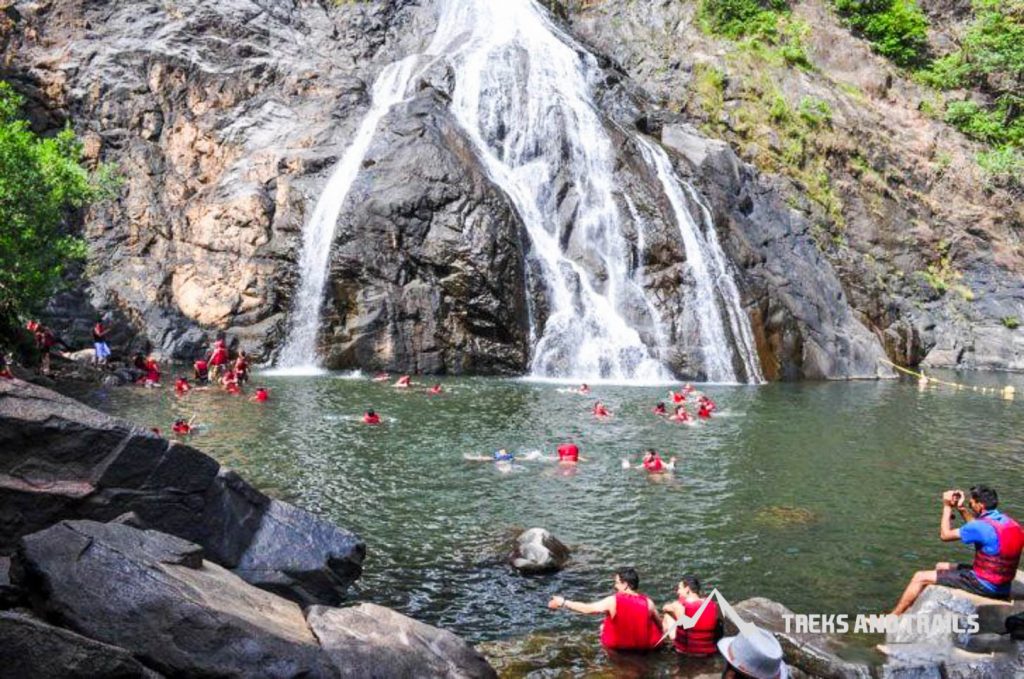 Dudhsagar-Waterfall-Trek-7