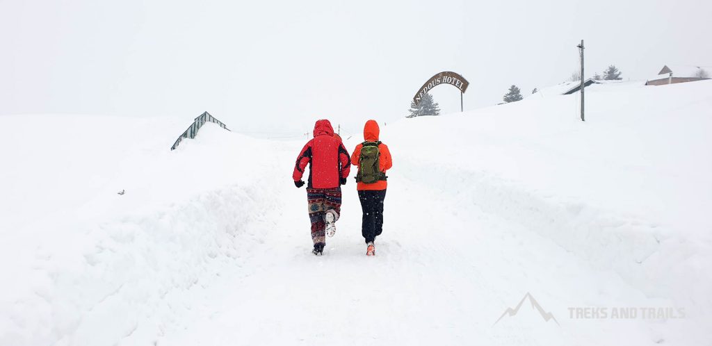 Gulmarg-Kashmir-Nedous