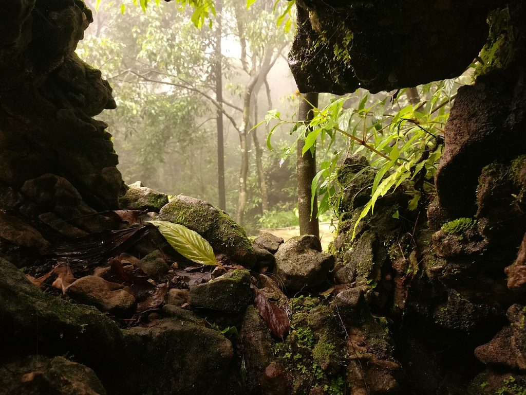 Meghalaya-Caves