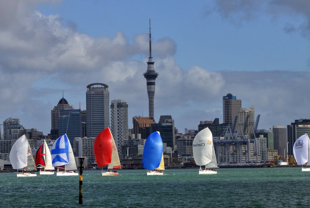 auckland-sailing