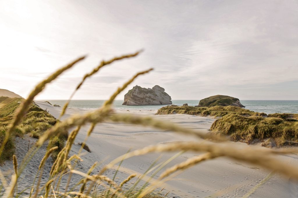 New Zealand Beach