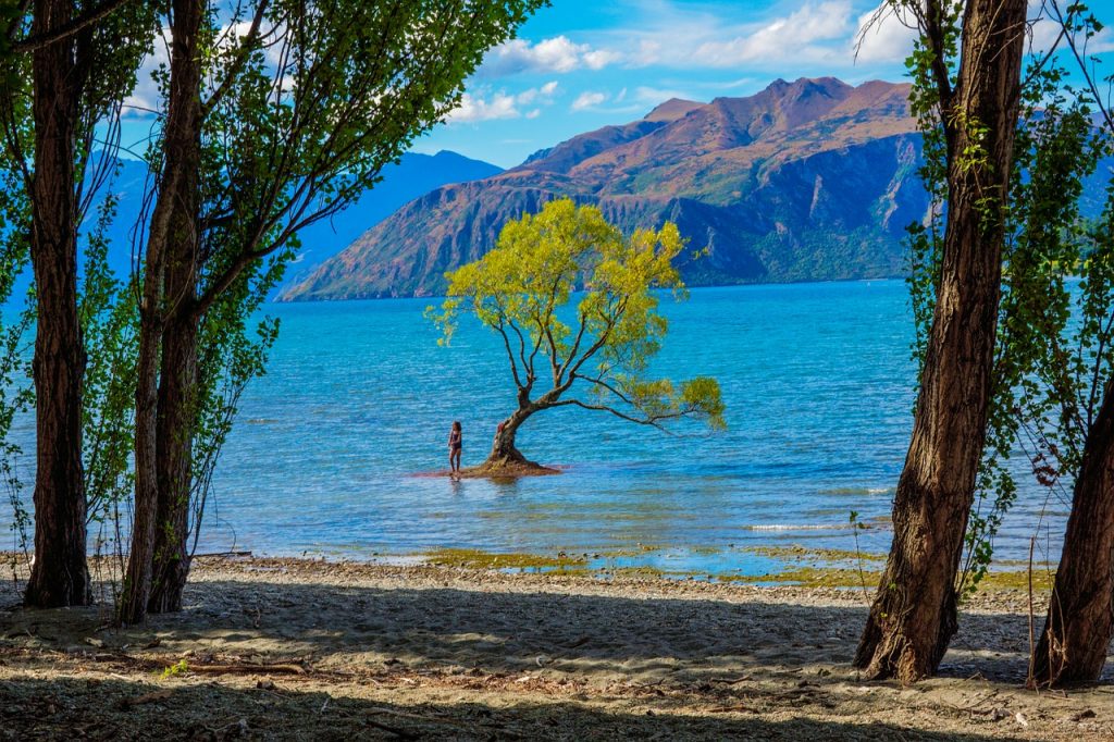 new-zealand-wanaka