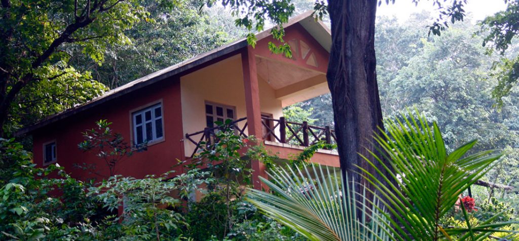 Hornbill Tree House River Resort Dandeli