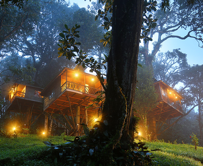 Nature Zone Tree House Munnar