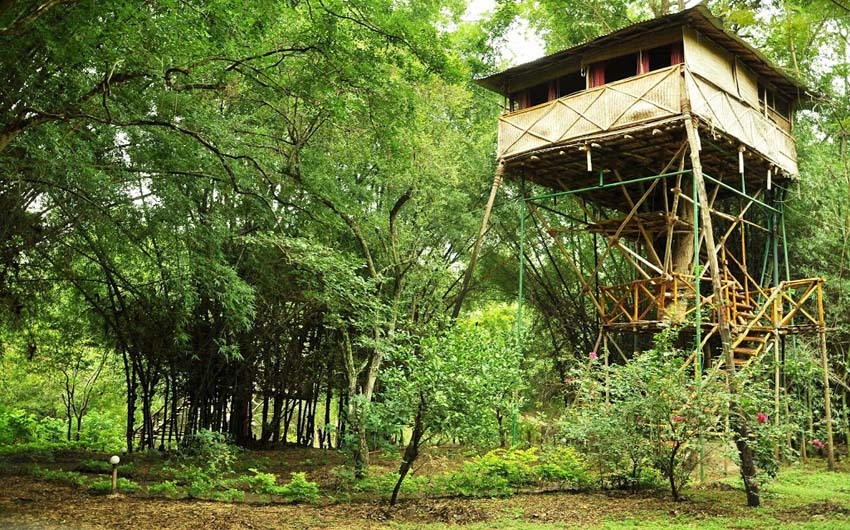 Safari Land Tree House Resort Masinagudi