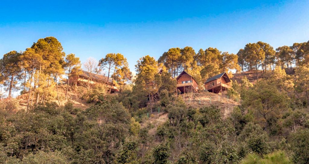 Suro Tree House Resort Shimla