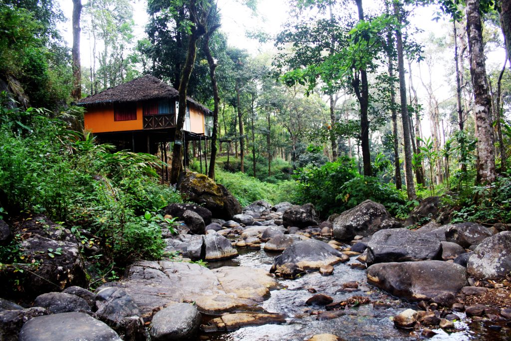 Vythiri Tree House Resort