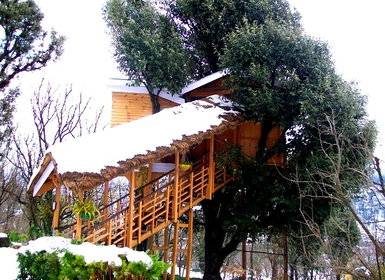 tree-house-cottage-manali