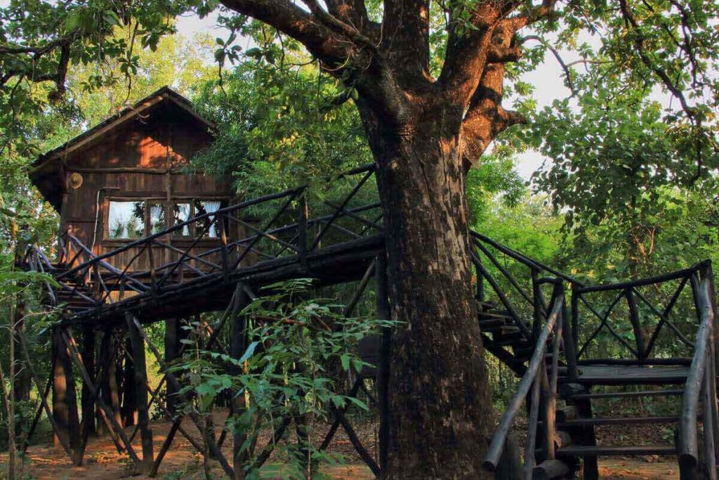 Tree House Hideaway Bandhavgarh