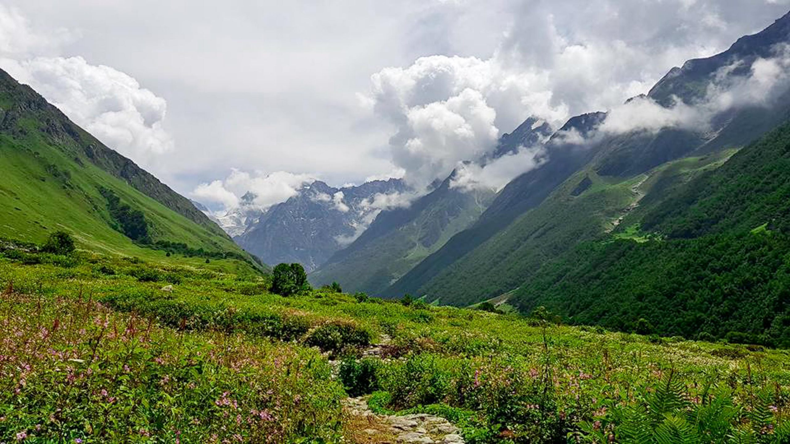 Valley-of-flowers