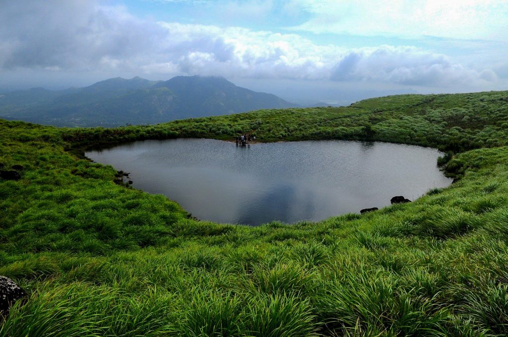 wayanad-green-kerala-landscape