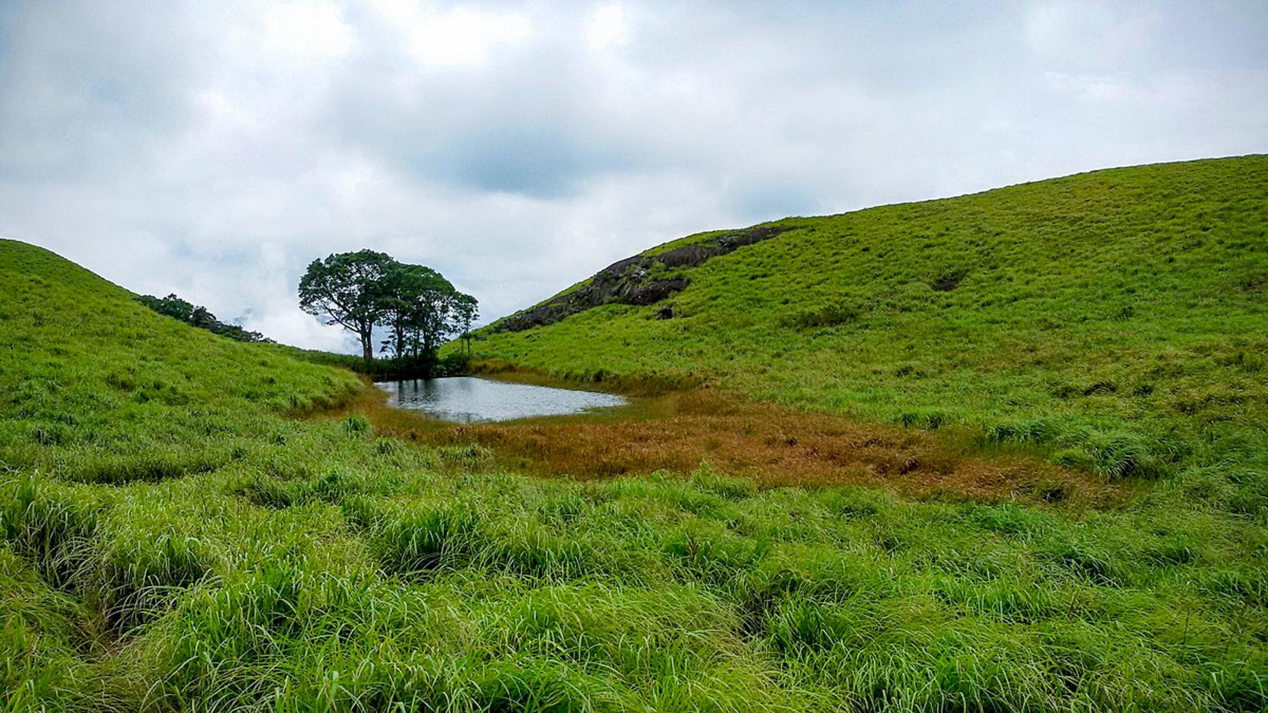 Chembra-Peak-Trekking