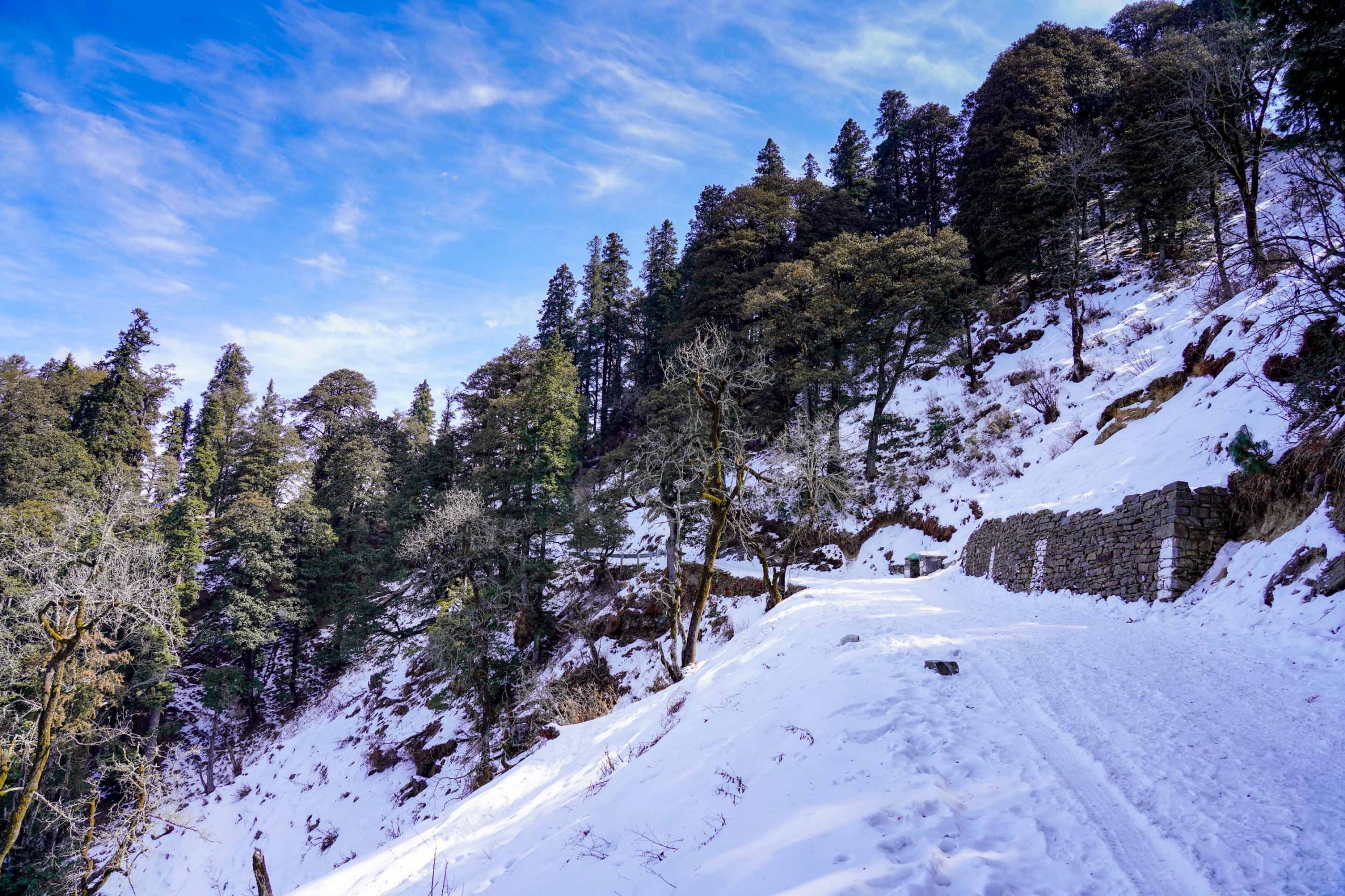 Hatu Peak Trek