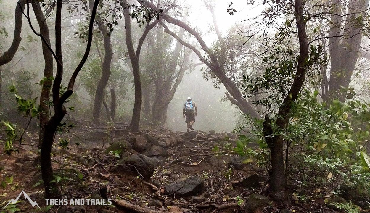 Ratangad-Fort-Monsoon-Trek-19