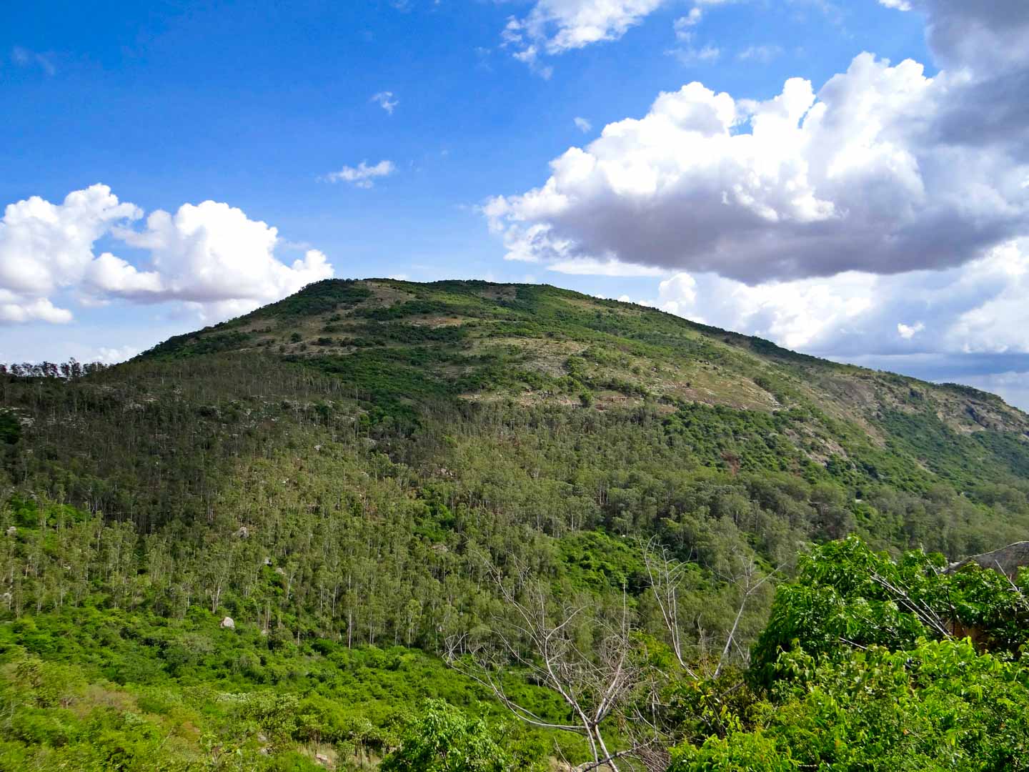 nandi hills photos