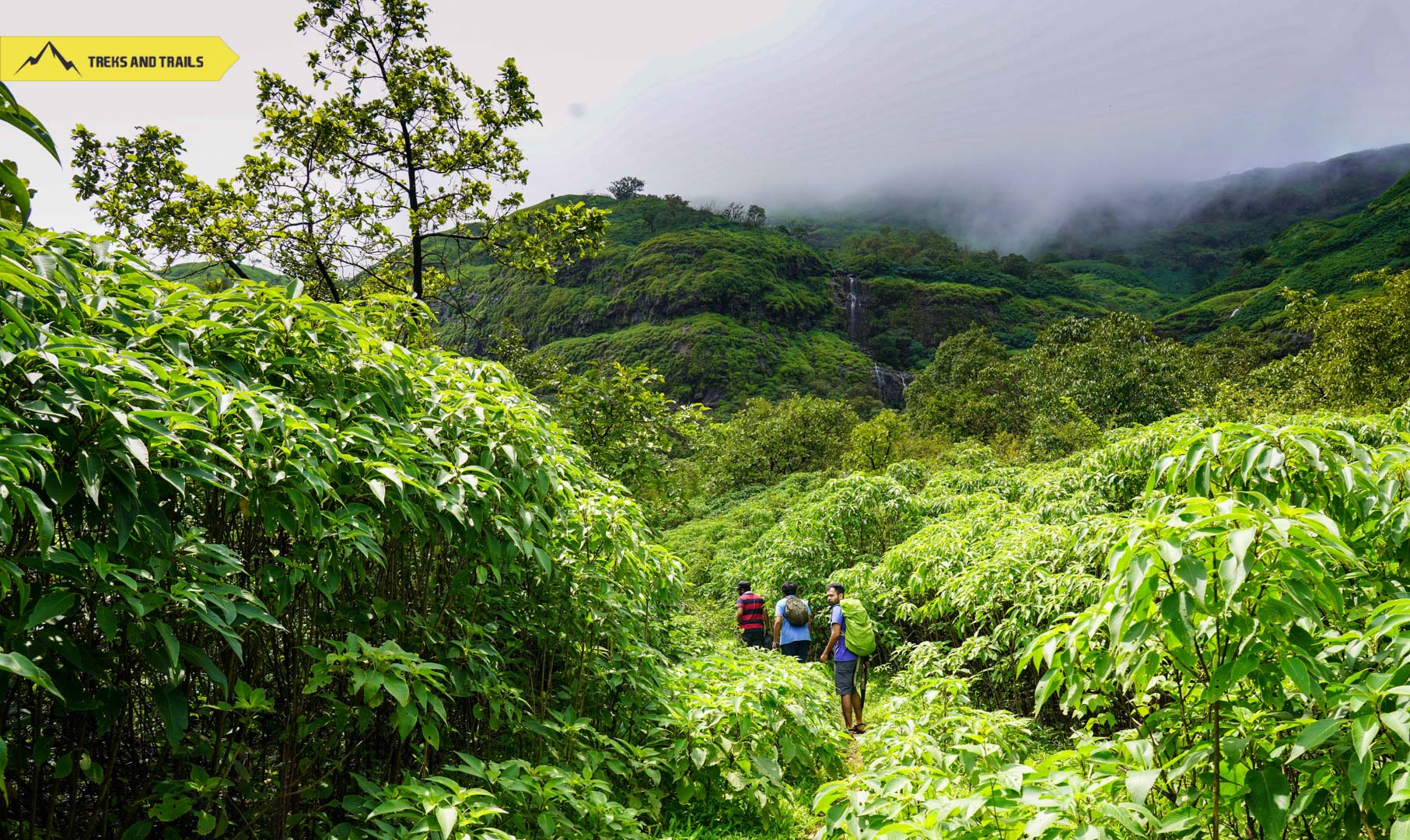 Andharban Trekking