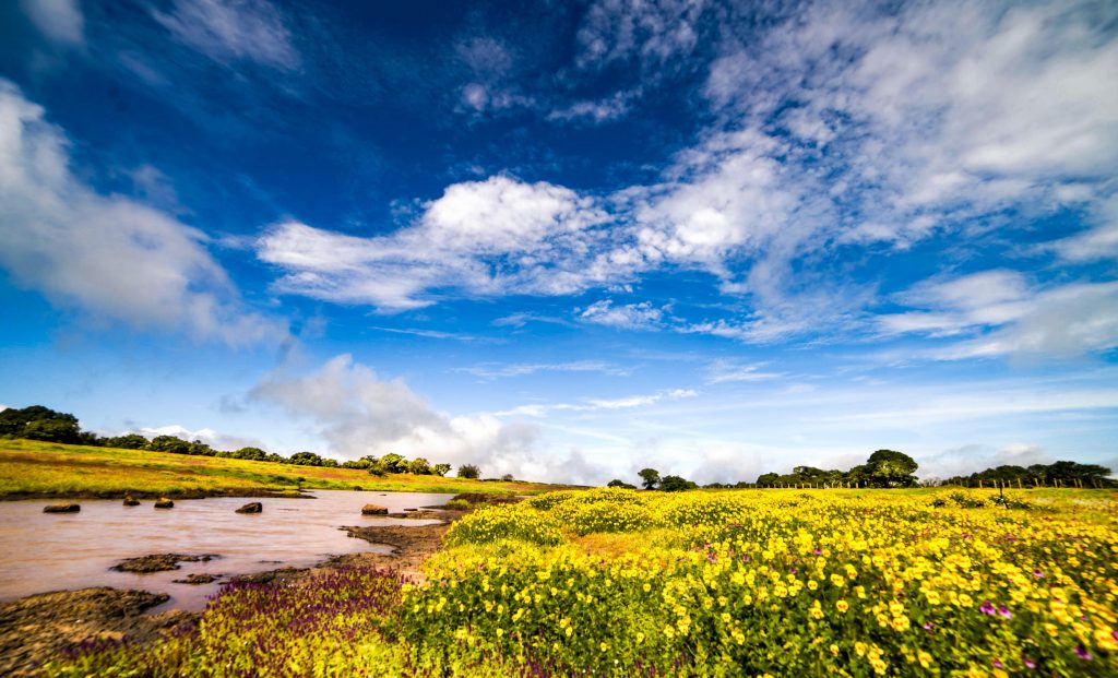 kass plateau satara