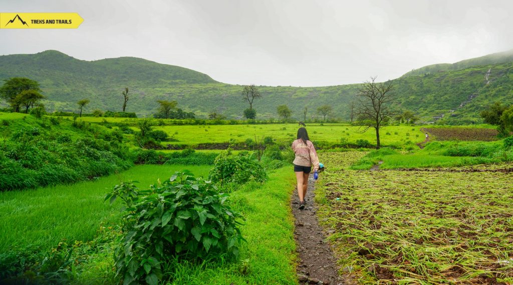 Tringalwadi Trek