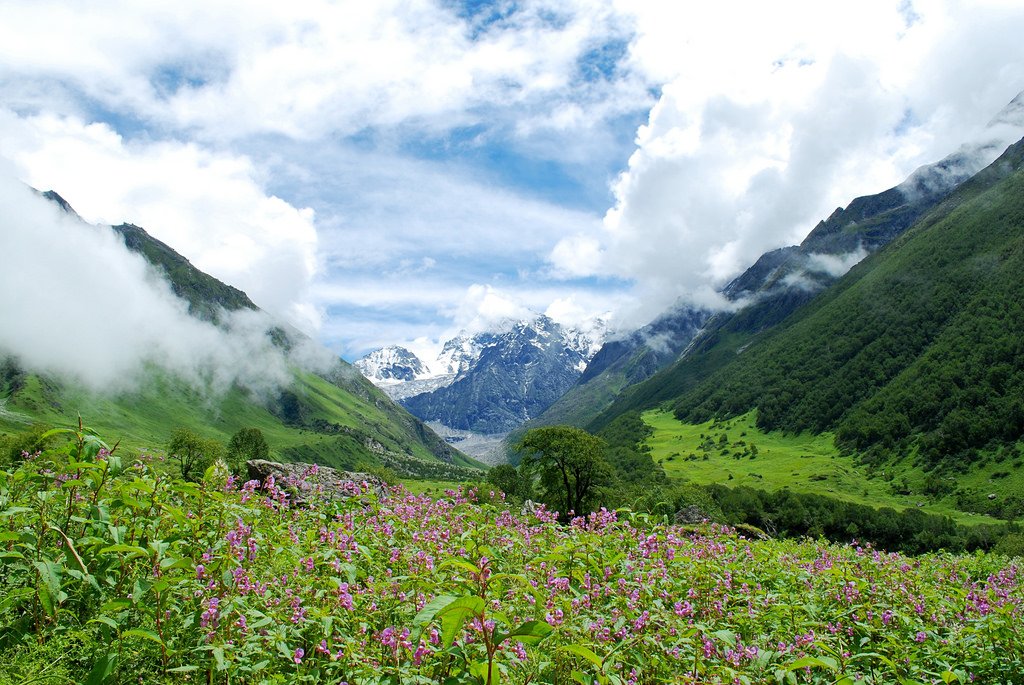 valley of flower trek