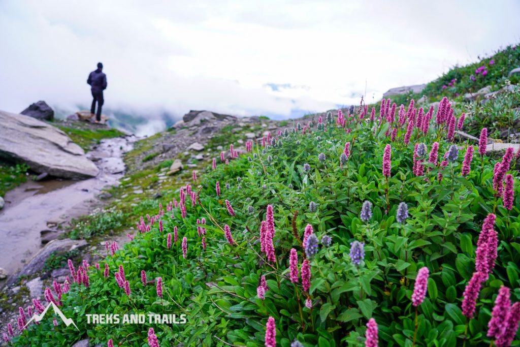 Manali-hiking