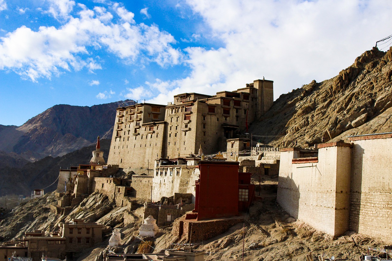 Leh Palace