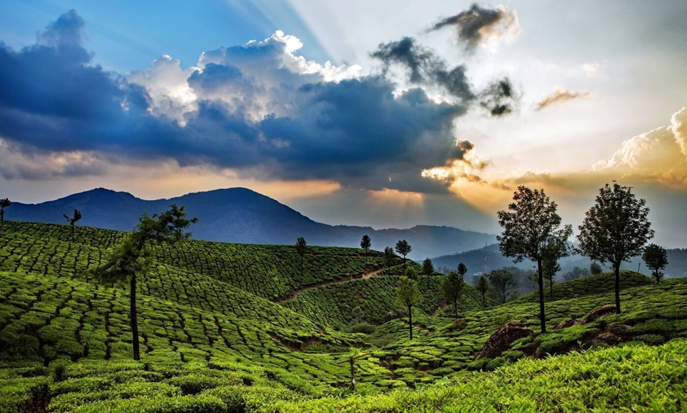 kerala hill station