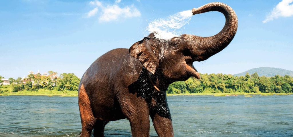 Wildlife Sanctuaries in Kerala