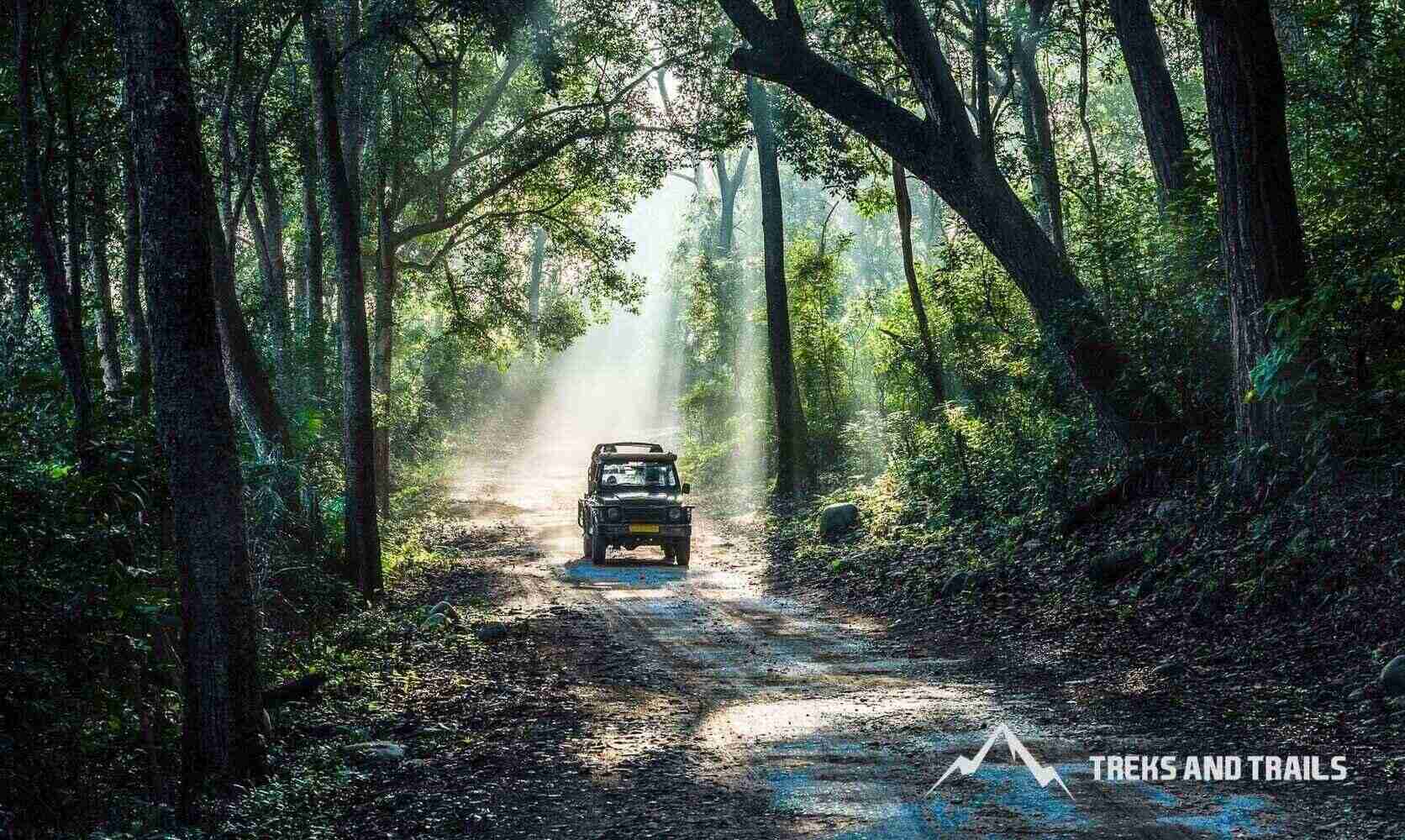 Jim corbett national park